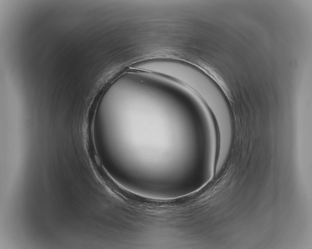 X0000110320485200905281635