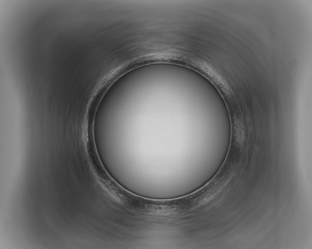 X0000110320486200905281635