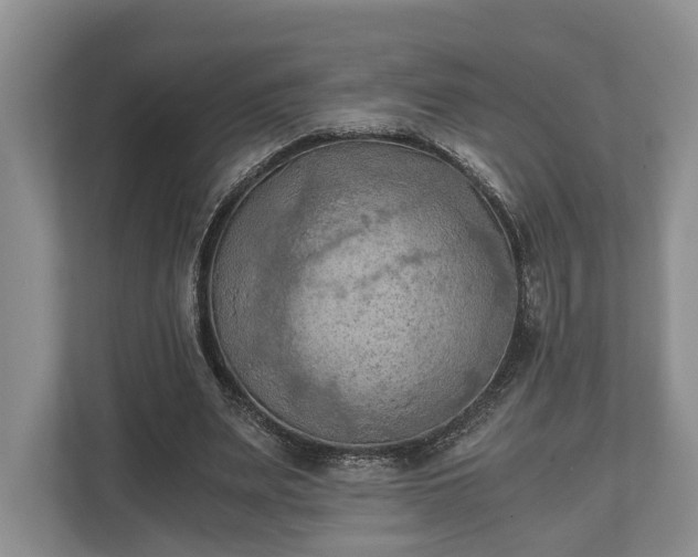 X0000110320487200905281635