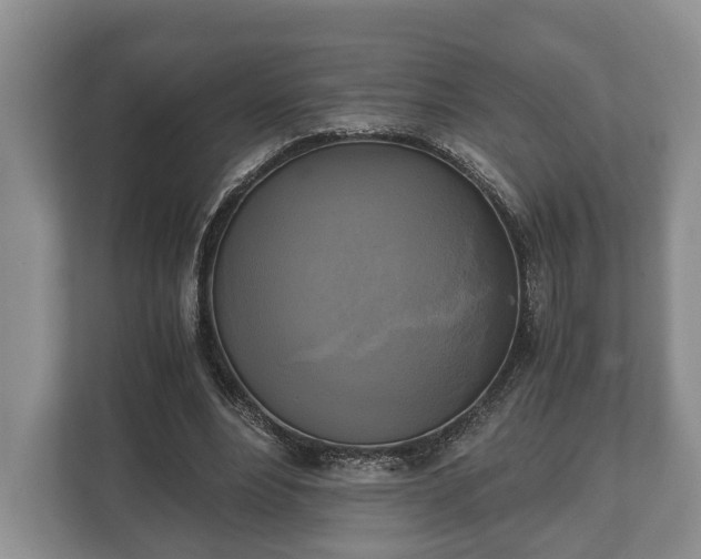 X0000110320488200905281635