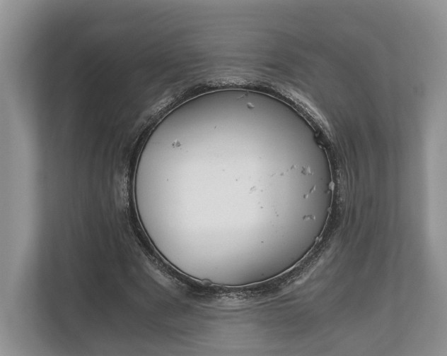 X0000110320489200905281635