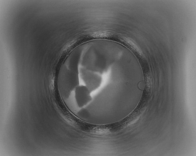 X0000110320491200905281635