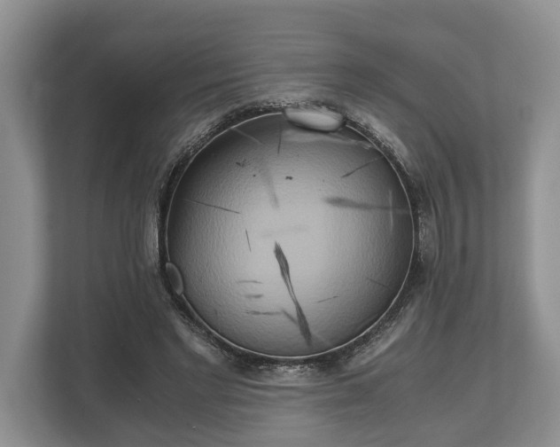 X0000110320493200905281635
