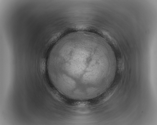 X0000110320495200905281635