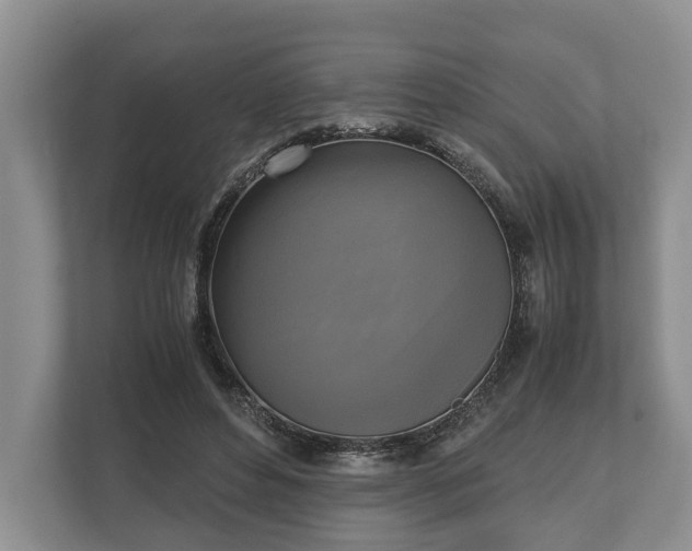 X0000110320496200905281635