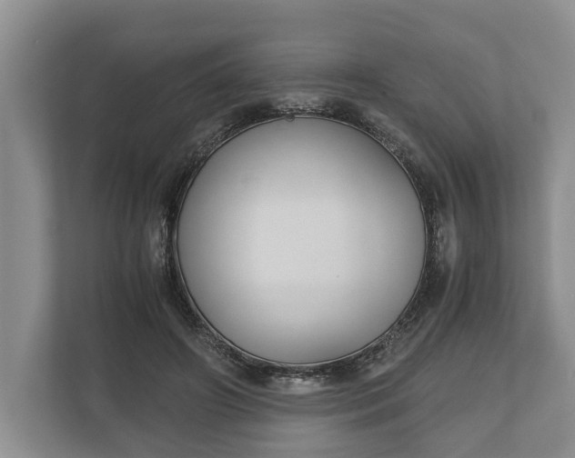 X0000110320498200905281635