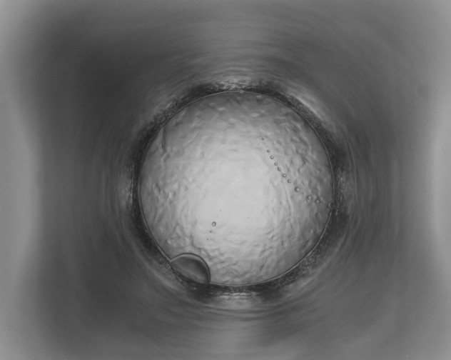 X0000110320499200905281635