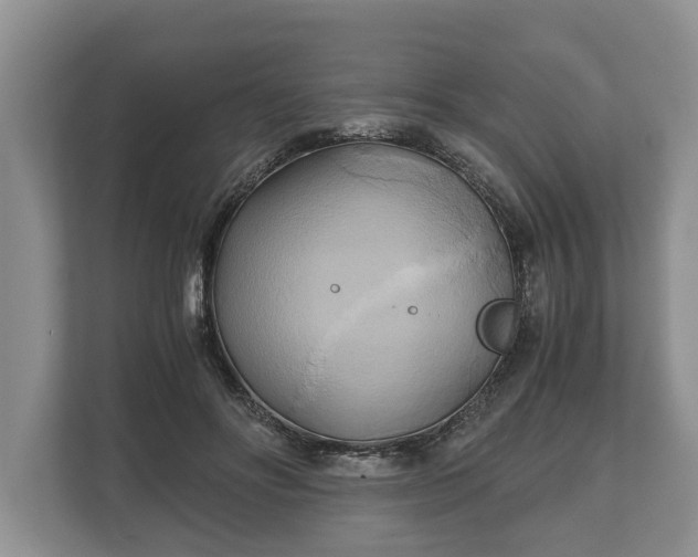 X0000110320502200905281635