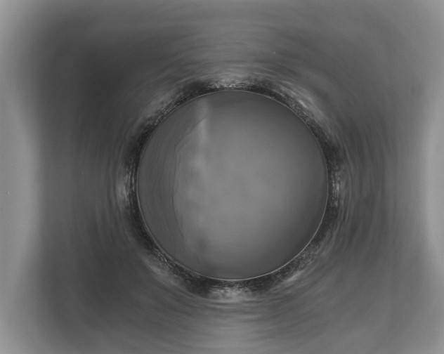 X0000110320503200905281635