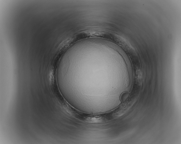 X0000110320506200905281635