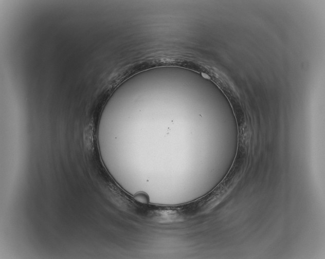 X0000110320509200905281635