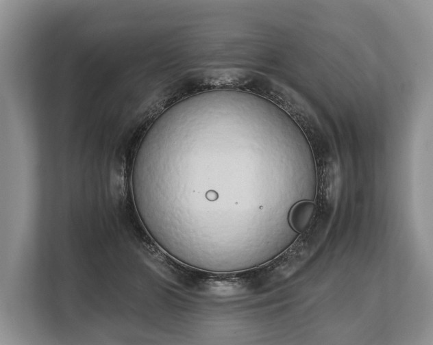 X0000110320510200905281635