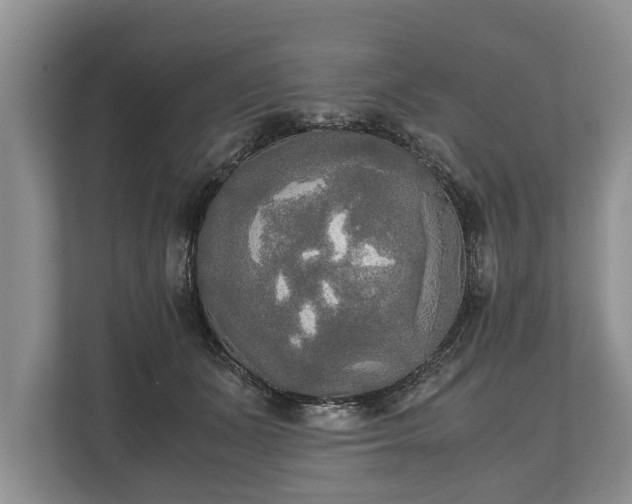 X0000110320511200905281635