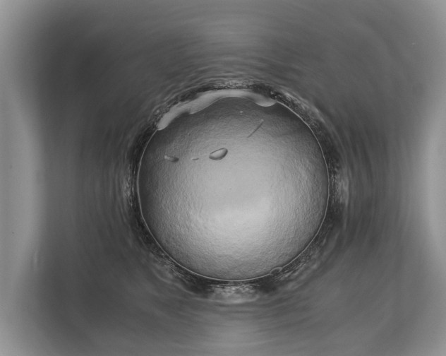 X0000110320517200905281635