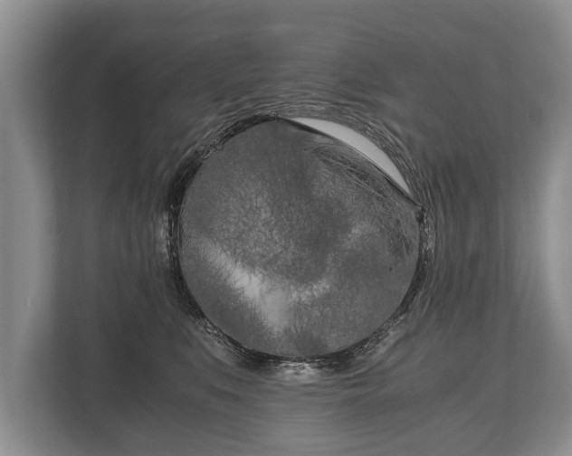X0000110320519200905281635