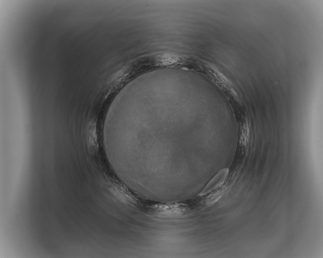 X0000110320524200905281635