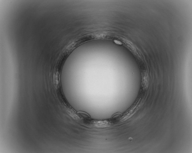 X0000110320525200905281635