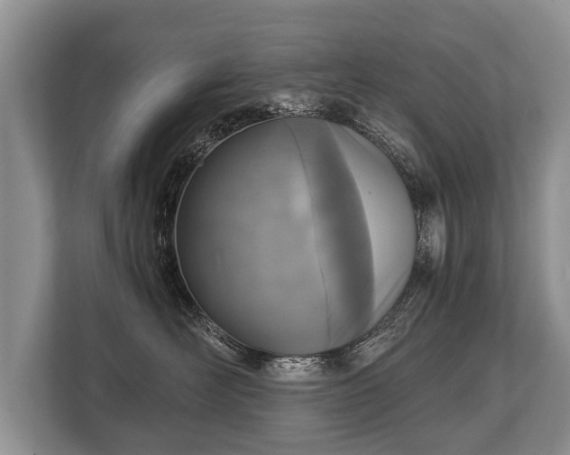 X0000110320526200905281635