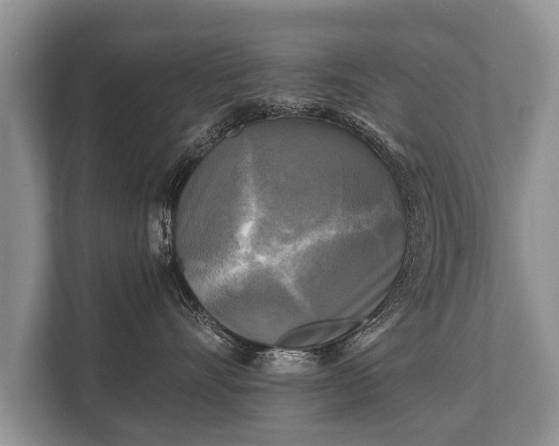 X0000110320528200905281635