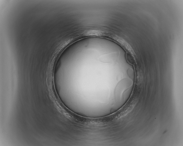 X0000110320529200905281634