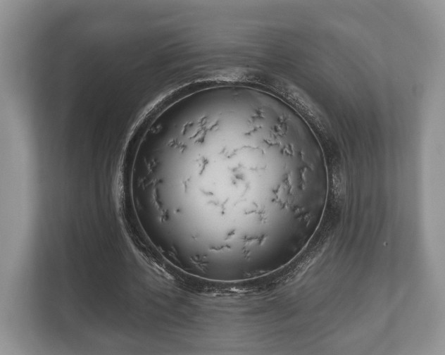 X0000110320532200905281634