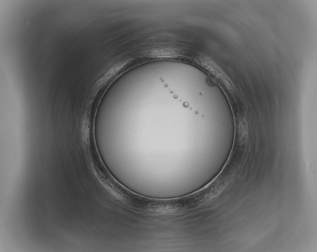 X0000110320533200905281634