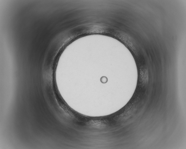 X0000110320534200905281634