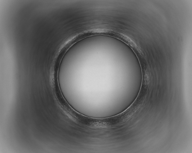 X0000110320535200905281634