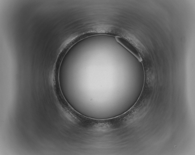 X0000110320536200905281634