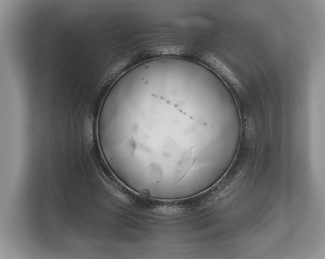 X0000110320537200905281634