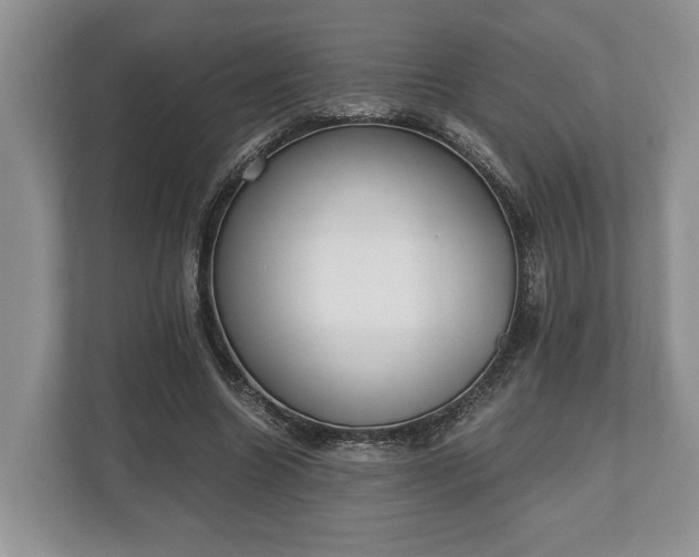 X0000110320538200905281634