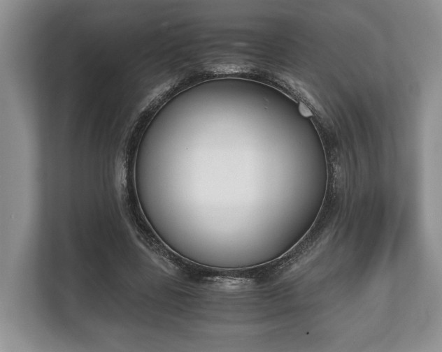 X0000110320539200905281634