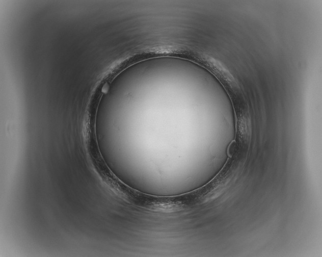 X0000110320540200905281634