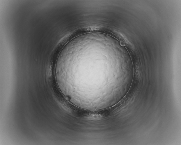 X0000110320543200905281634