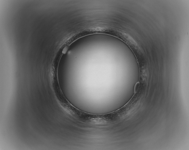 X0000110320544200905281634