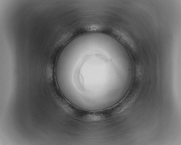 X0000110320545200905281634