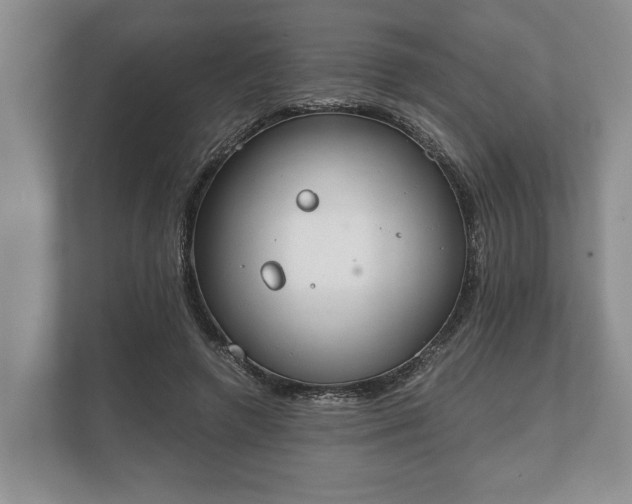 X0000110320546200905281634