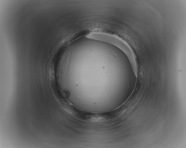 X0000110320547200905281635