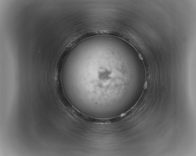 X0000110320548200905281635