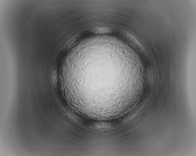 X0000110320549200905281635