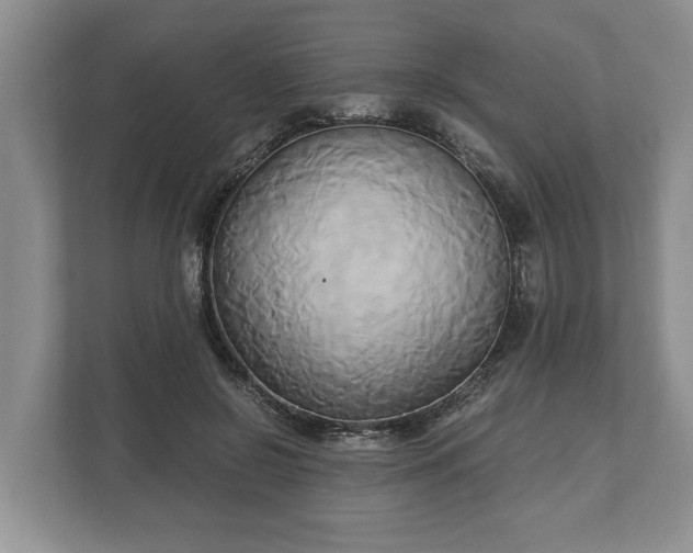 X0000110320550200905281635