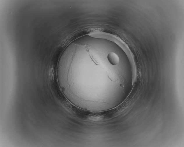 X0000110320551200905281635