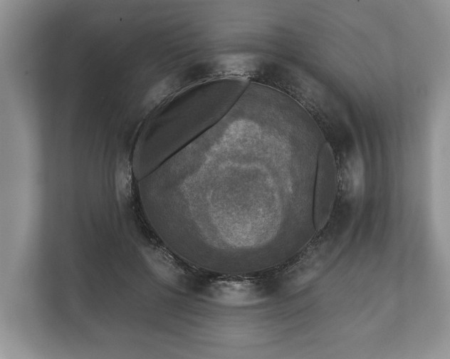 X0000110320552200905281635