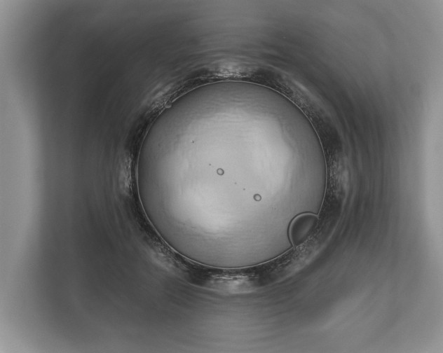 X0000110320554200905281635