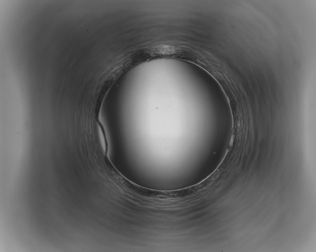 X0000110320555200905281635