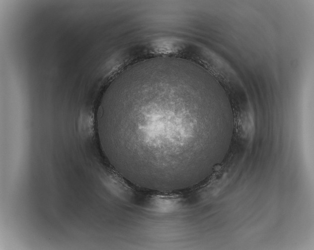 X0000110320556200905281635