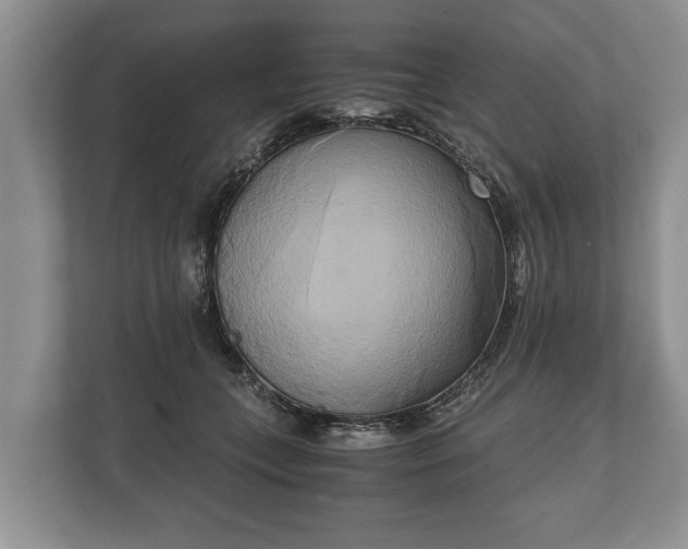 X0000110320559200905281635