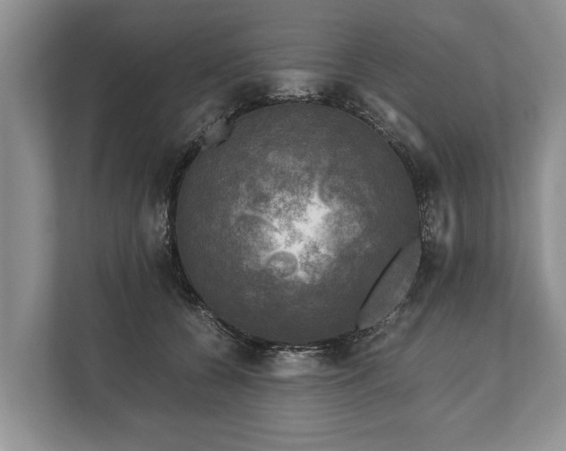 X0000110320560200905281635