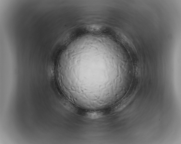 X0000110320561200905281635