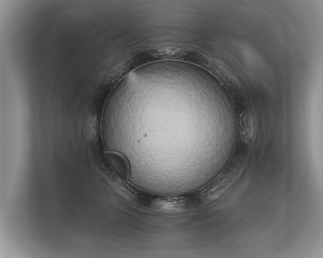 X0000110320563200905281635